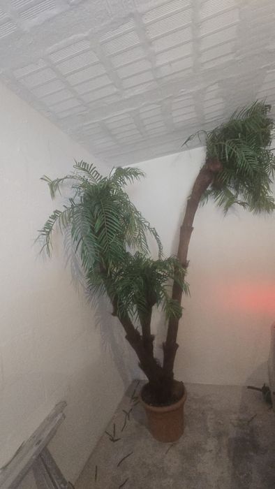 Palmeira artificial