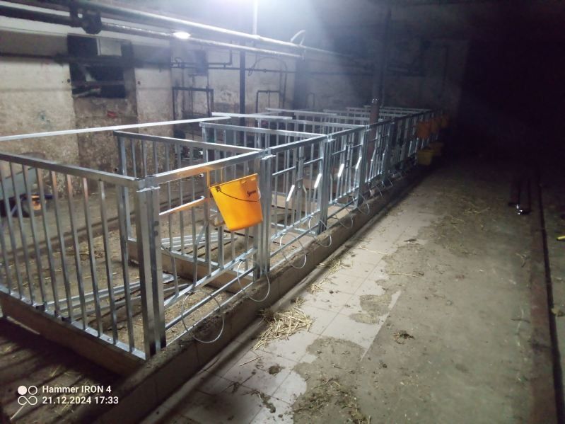 Kojce boksy dla cieląt budka iglo