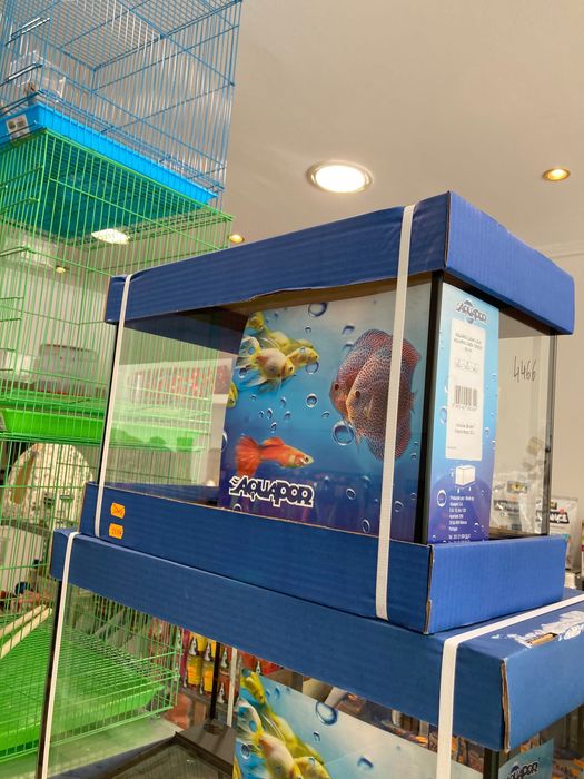 Aquário peixe ( Loja Especializada )