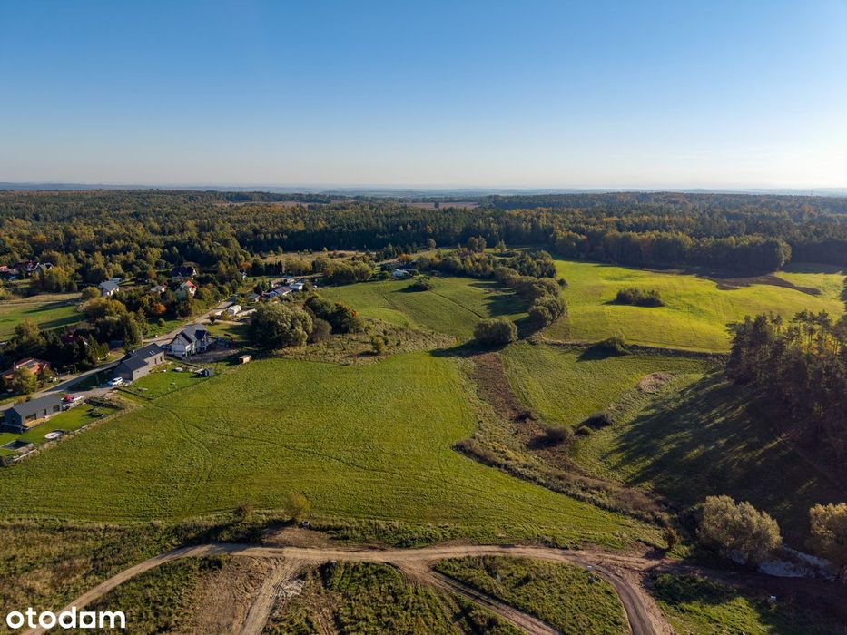 Przywidz Pomlewo działka 1400 m², Warunki Zabudowy (WZ) - BEZTERMINOWE - Widok 2