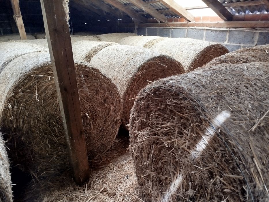 Sloma sprzedam słome