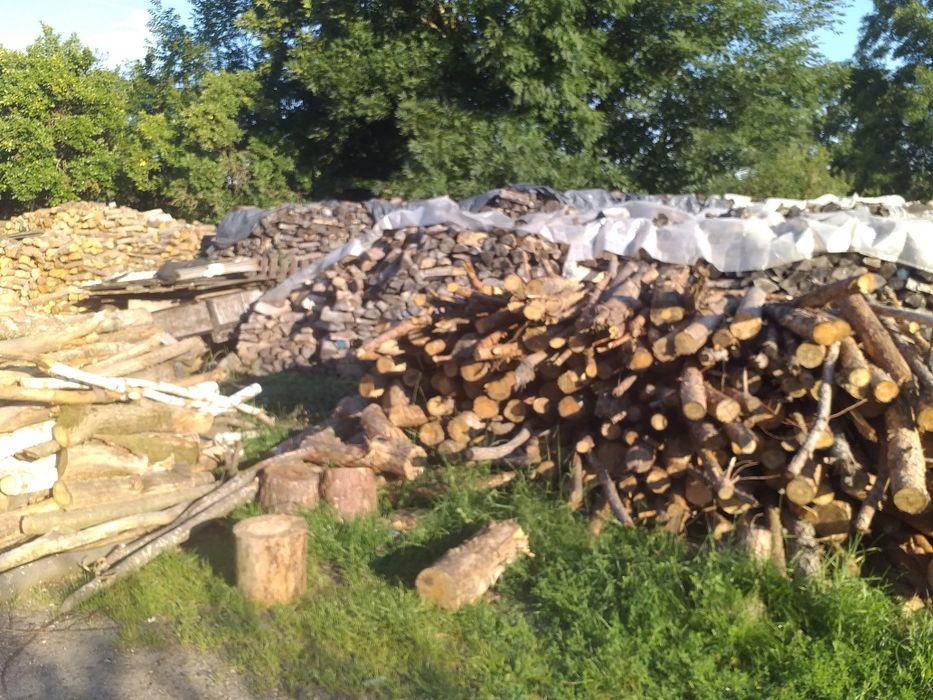 Drewno opałowe iglaste i liściaste