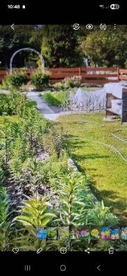 Ogrodek dzialkowy Kepno