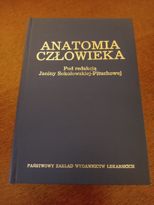 Anatomia człowieka