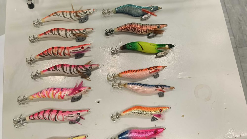 Palhaços para pesca ao choco