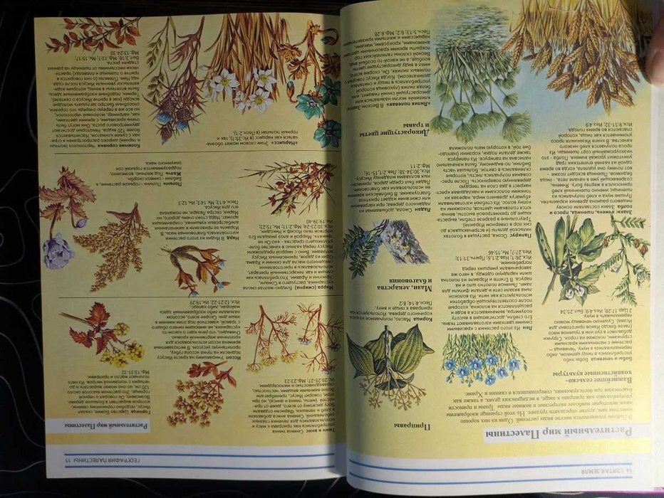 Библейская энциклопедия Археология Святая земля История библии 1996 г