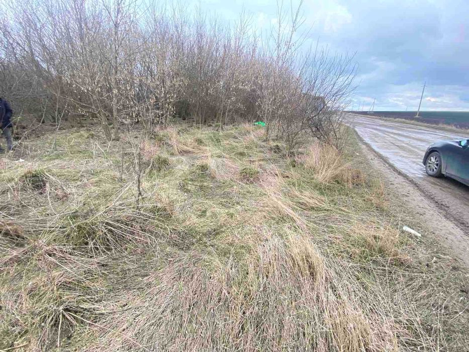 ділянка з приміщенням теплиці та правом власності у Плотичі