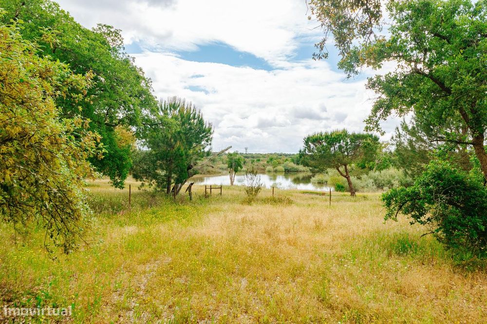 Premium Plot of 3,065 m² Next to the Lagoon | Vila Nova de Santo Estevão