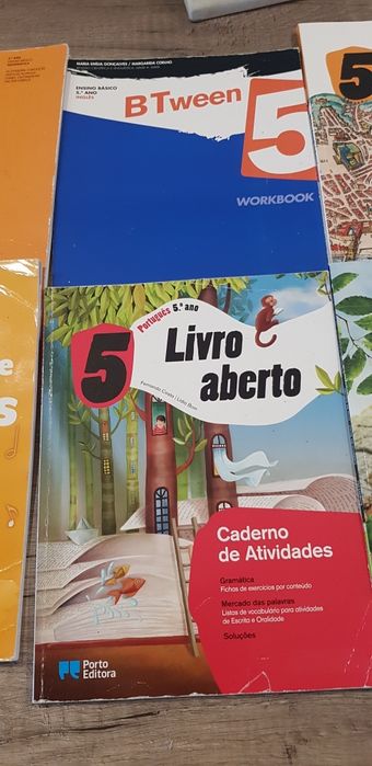 Livros fichas 5°ano