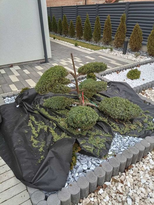 Ландшафтний дизайн під ключ