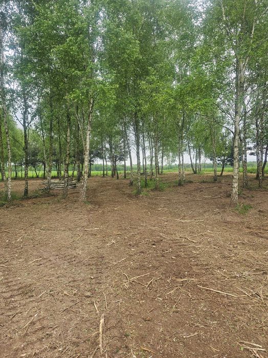 Mulczer leśny, mulczowanie, mulczer wgłębny, karczowanie działek.