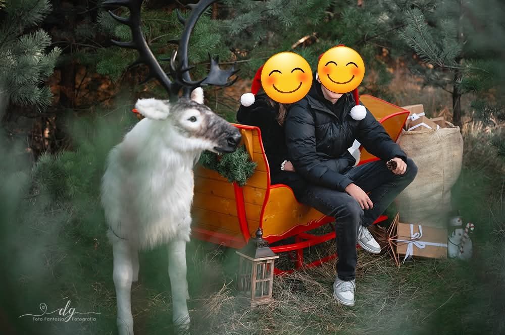 Piękne sanie drewniane