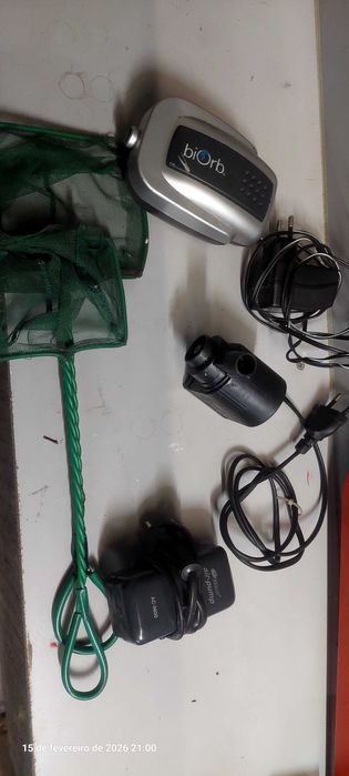 Peixes  camarões plantas aquário