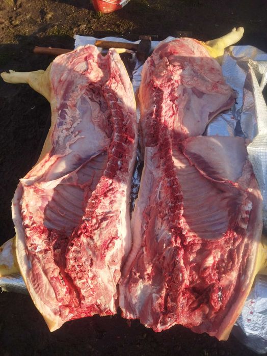 М'ясо  домашньої  свині (тушонка фарш  паштет)