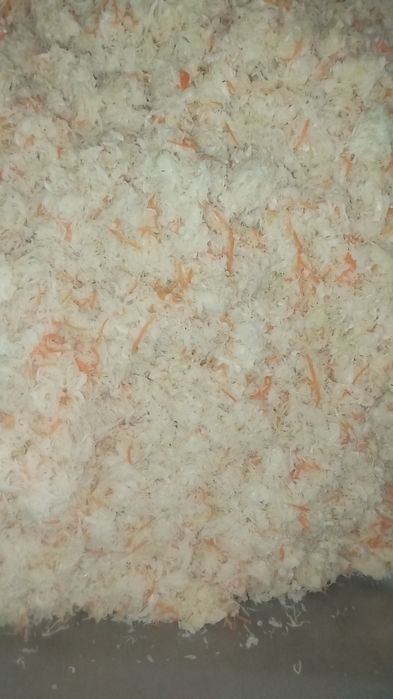 Kapusta Kiszona Naturalna, bez chemii i ulepszaczy.