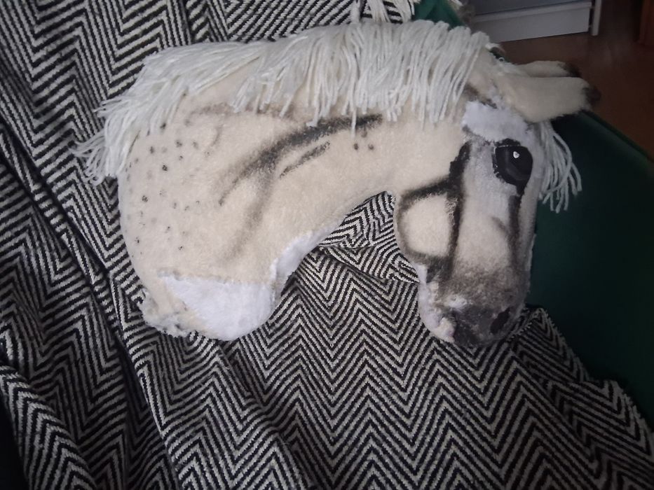 Hobby horse A3 .