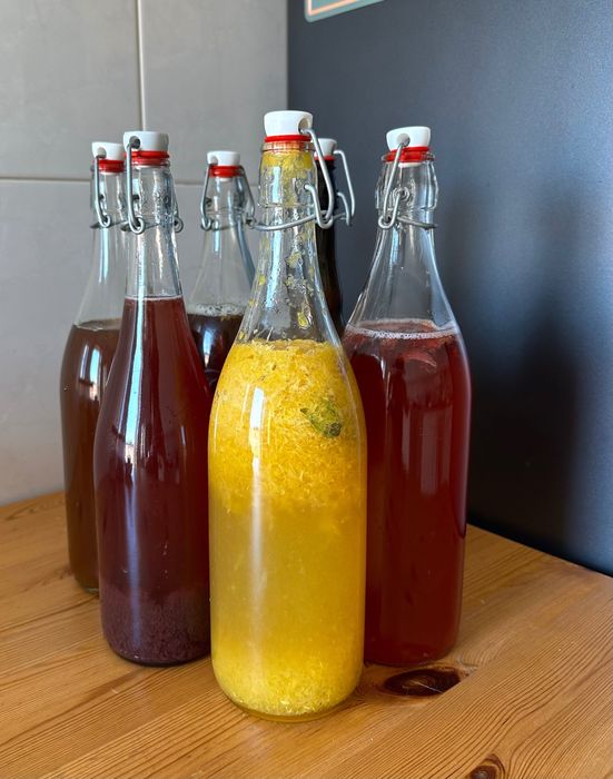 Kombucha Artesanal (Fungo do Chá) | SCOBY para Cultivo | Bebida Fermentada Natural