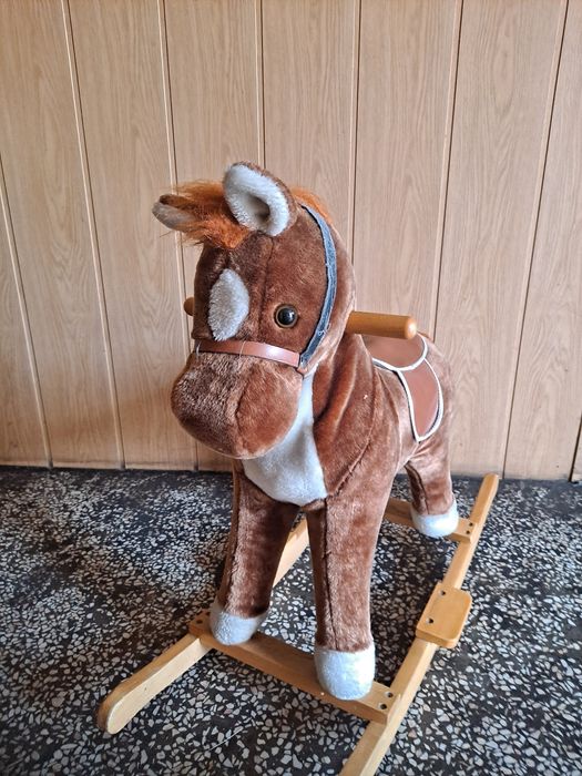 Konik na biegunach