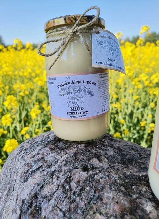 Miód rzepakowy kremowany 1,2kg z serca Doliny Rospudy