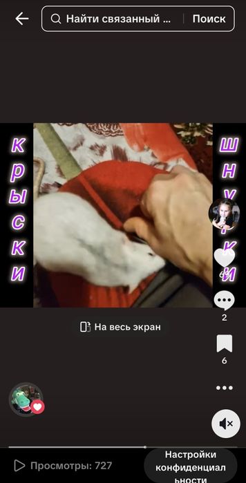 Щурики- зірки тік-тока + велика клітка