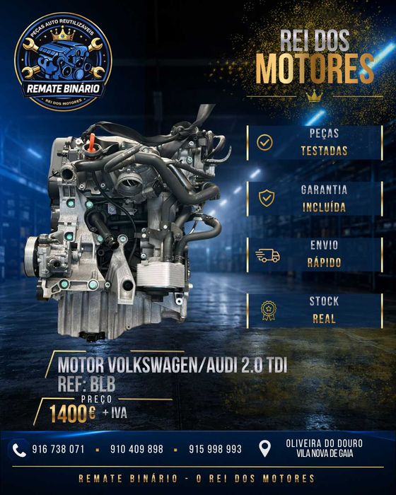 Motor VOLKSWAGEN/AUDI 2.0 Tdi BLB