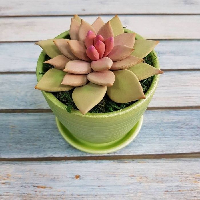 Японская полимерная детская глина для лепки цветов DECOCLAY ДЕКОКЛЕЙ