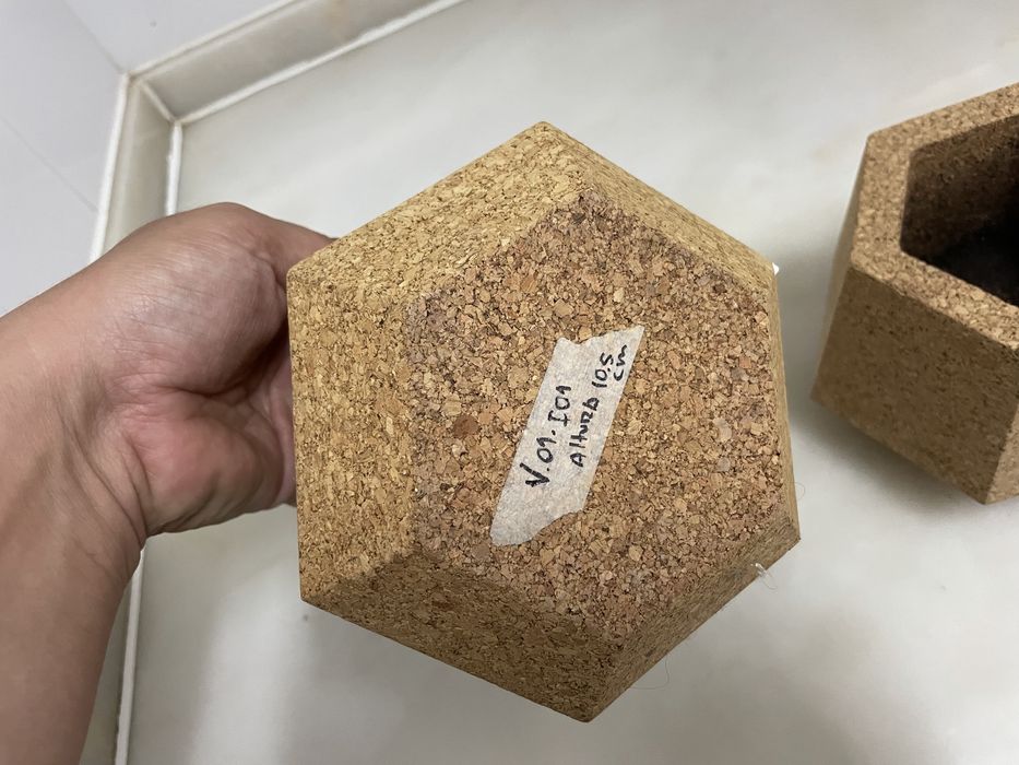 Conjunto vasos cortiça portuguesa