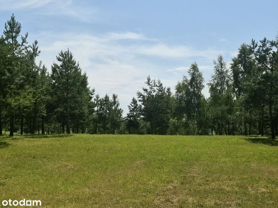 SLOW MAZURY-Uzbrojone działki budowlane z MPZP nad JEZIOREM, 2h z W-wy - Widok 2