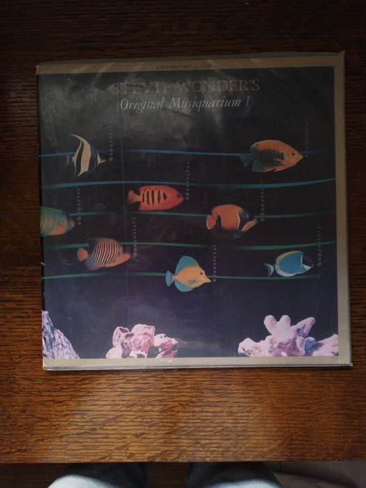Disco vinil antigo