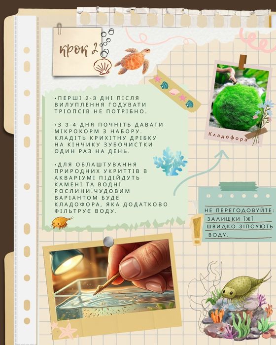 Акваріумний набір Triops (щитні, тріопси, триопсы)