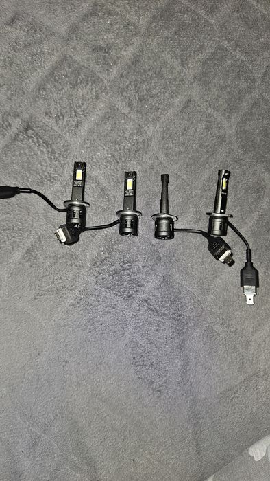 Philips Żarówki LED Ultinon Access UA2500 H1 12V