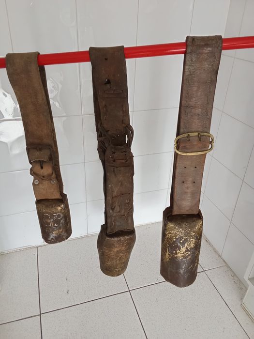 Vendo este material equestre