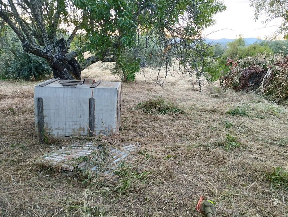 Prestação de serviços de jardinagem
