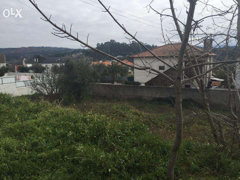 Lote para Construção em Mangualde