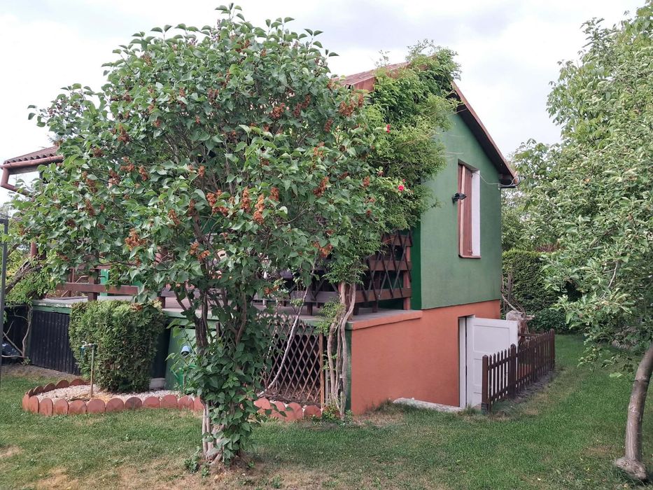 Duża działka ROD „KŁOS” - Więcej