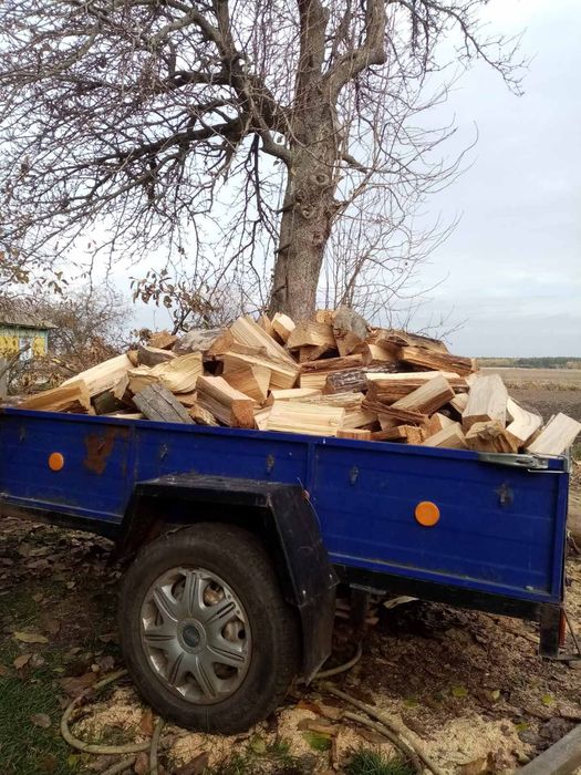 Продам дрова.         Колотые.