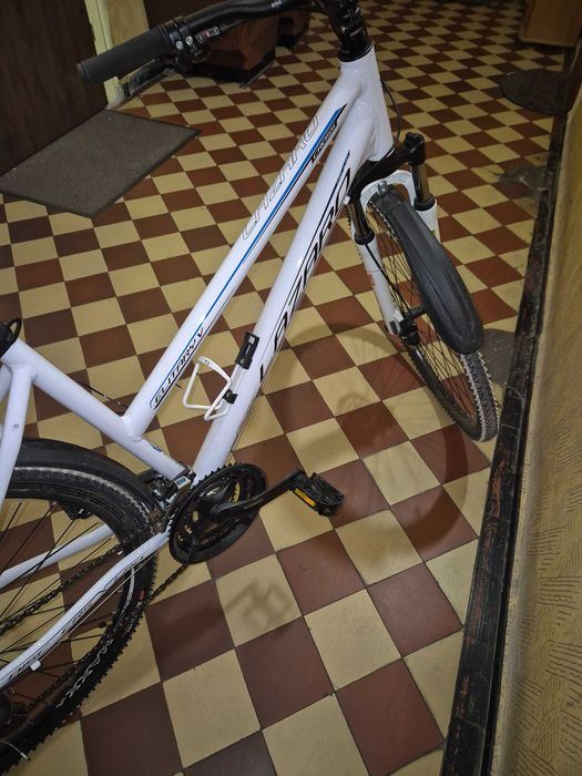 Rower damka 28 cali