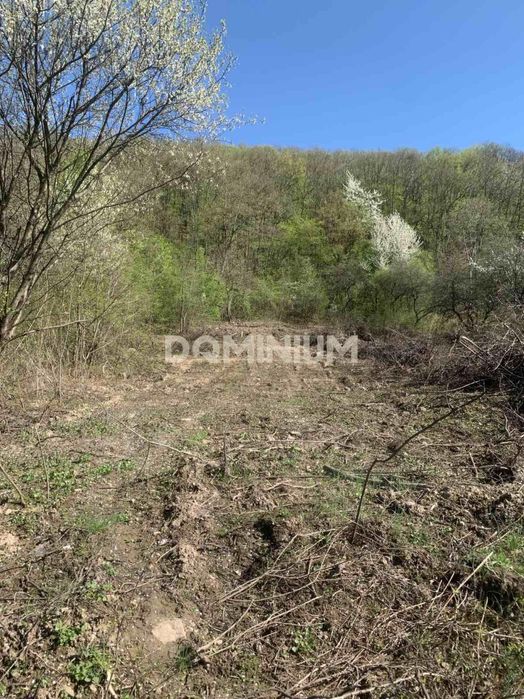 Продаж земельної ділянки на Чорній Горі, м. Виноградів (СТ "Полкова")