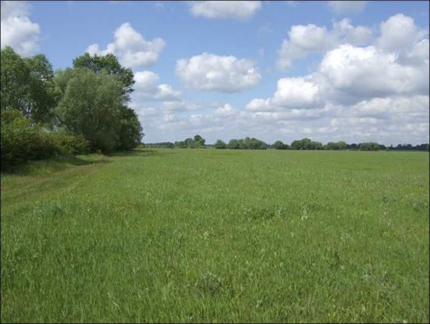 продаж земельної ділянки, Митниця