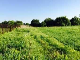 Ділянка 1 га в с. Мар’янівка