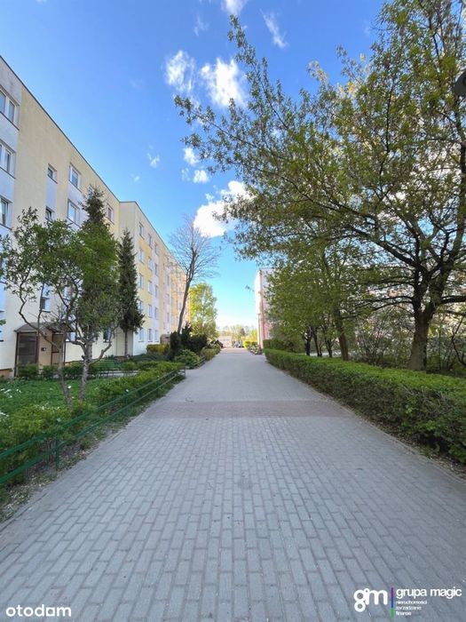 Obszerne mieszkanie 61 m2 Rubinkowo, Działowskiego