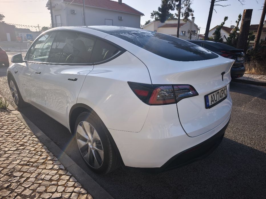 Tesla  y standard