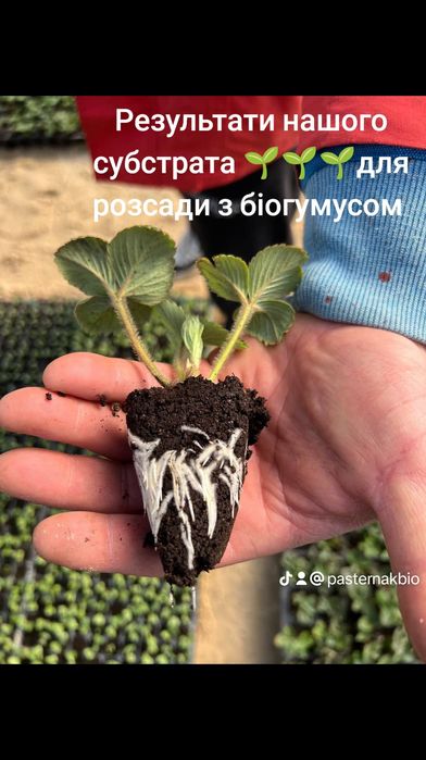 Субстрат для розсади профі.Кора соснова.Торф нейтральний.