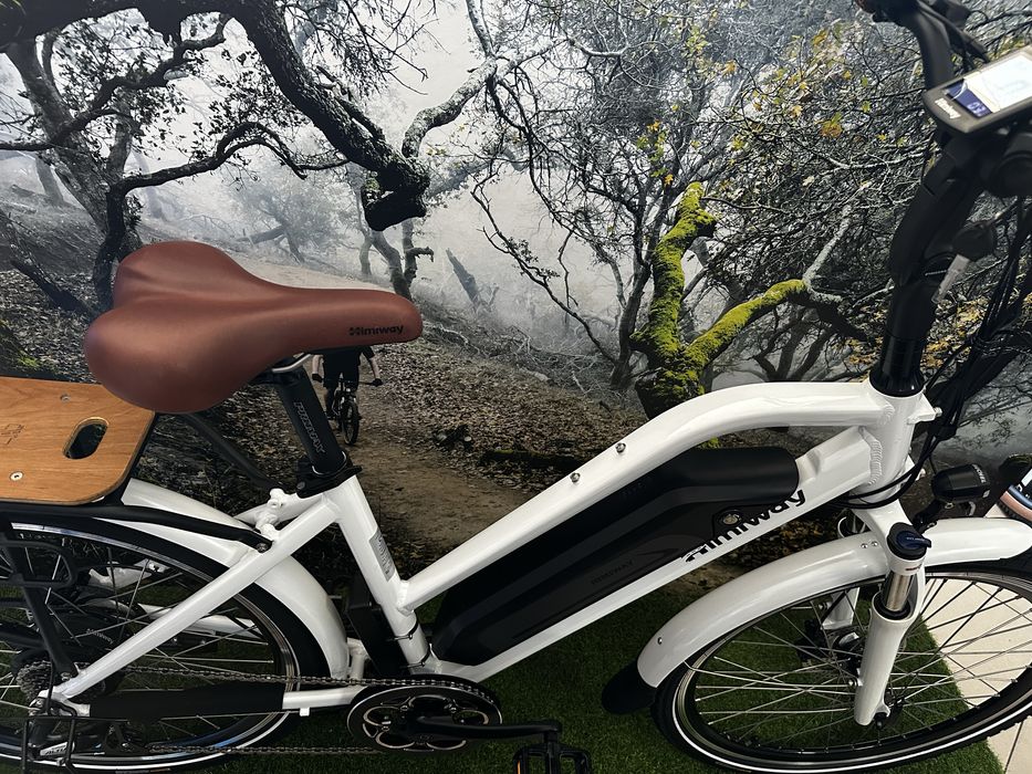 PROMOCJA-Rower elektryczny 26 Himiway 36V/18,2Ah/655Wh - ACTIVE ZONE