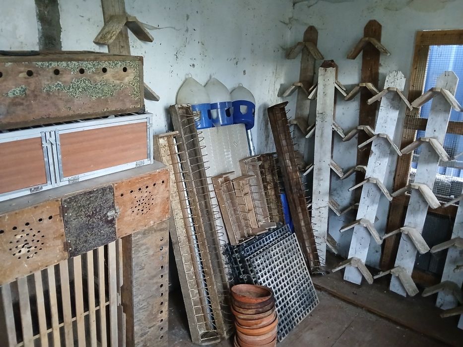 Acessórios para pombos correios