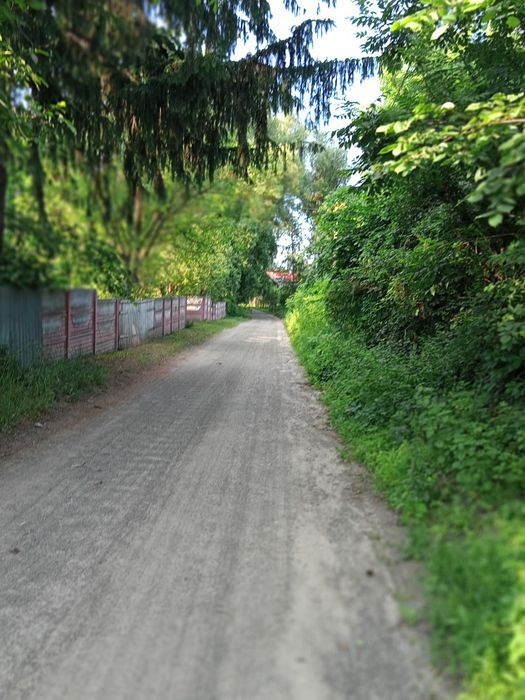 Простора садиба 0,5га (50сот.)біля  Брусилова (с.Ковганівка). Власник.