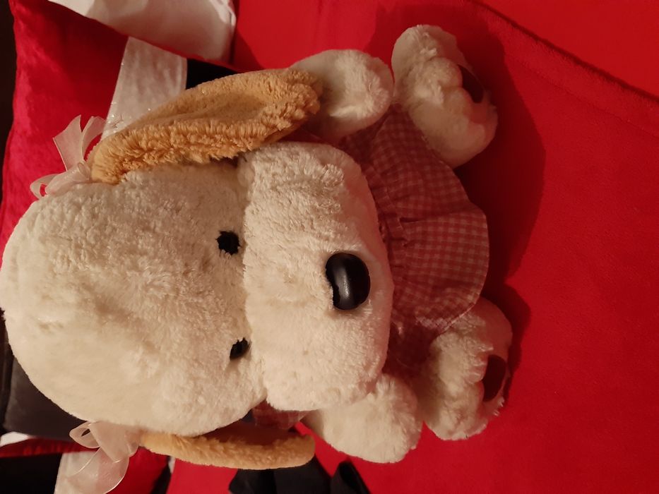 Vendo peluche em otimo estado para desocupar