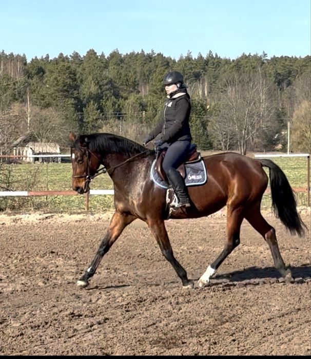 Klacz - wszechstronna