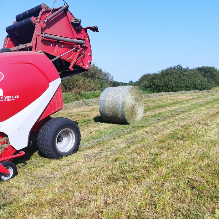 Sprzedam sianokiszonkę oraz siano i słomę