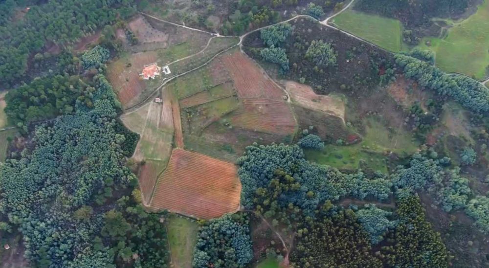 Quinta com Moradia T4 com possibilidade T5, Piscina, Vinha e 10,2 ha Região do Dão – Serra da Estrela